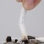 tabacco-filter-smoking-cigarette-in-hand_438972